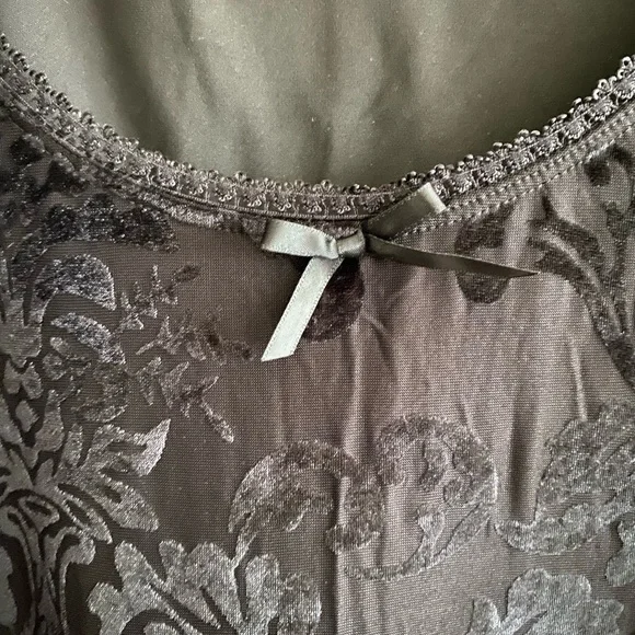 Sheer Velvet Babydoll Dress by Sugar Thrillz XXL - Picture 2 of 4